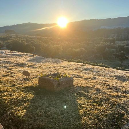 Quinta Dos Cedros L Turismo Rural Covilhã Exteriör bild