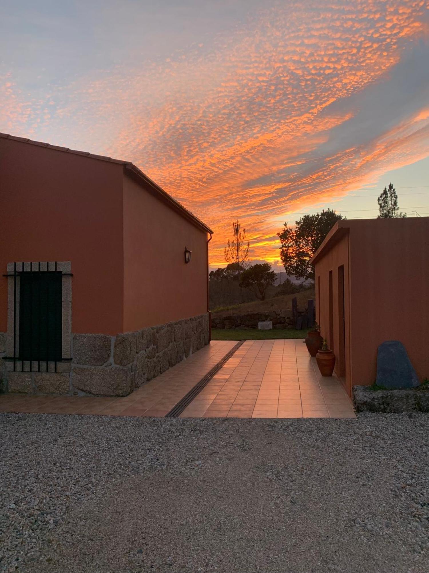Quinta Dos Cedros L Turismo Rural Covilhã Exteriör bild