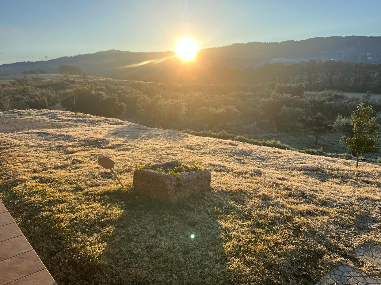 Quinta Dos Cedros L Turismo Rural Covilhã Exteriör bild